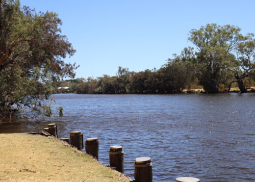 Swan River