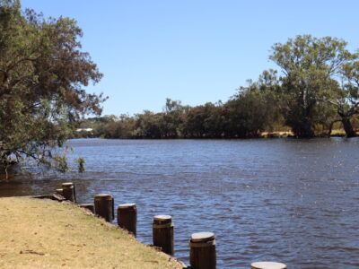 Swan River